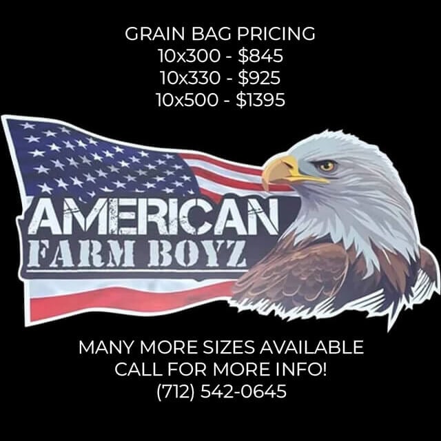 American Boyz