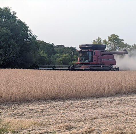 farming 1